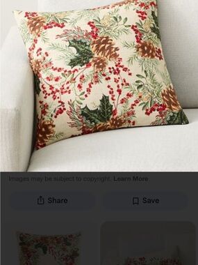 Holly Berry Embroidered Pillow Cover & pillow waterfall features pottery barn